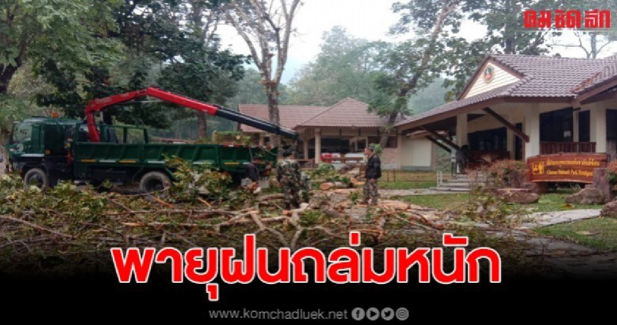 พายุฝนถล่ม อุทยานแจ้ซ้อน เร่งย้ายนทท.ด่วน