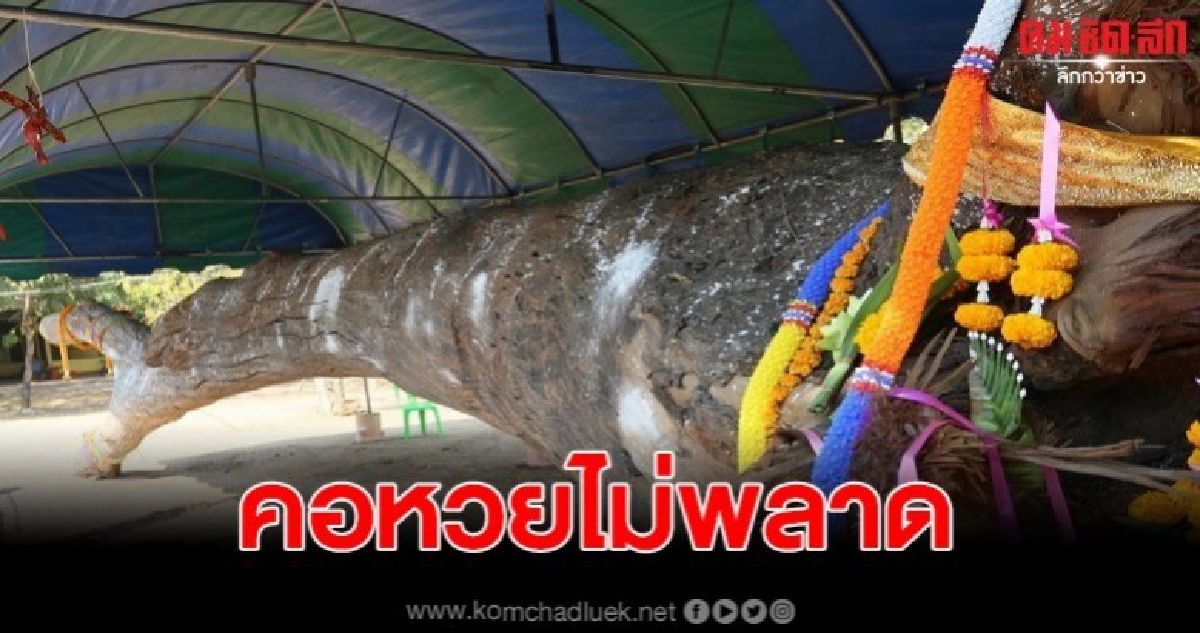 เจ้าแม่ตะเคียนทอง สิงร่างชาวบ้านกลางงานพิธีบวงสรวง เจ้าแม่ตะเคียนทอง สิงร่างชาวบ้านกลางงานพิธีบวงสรวง