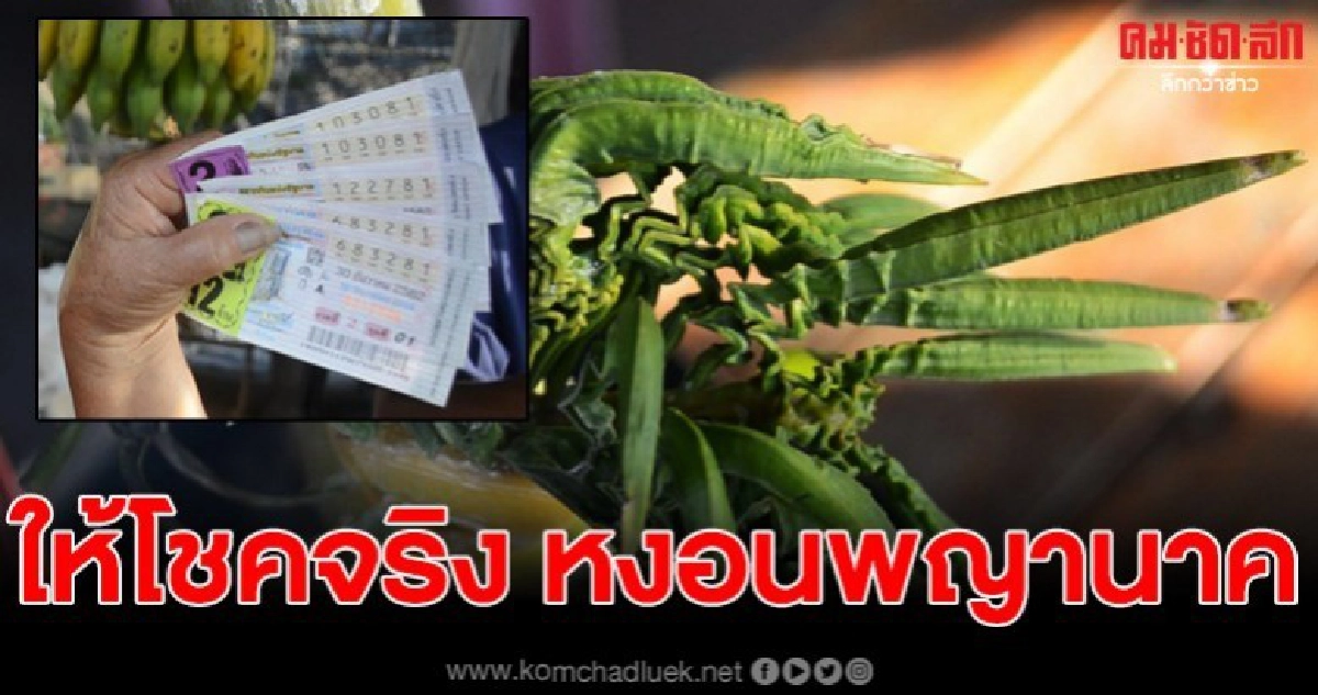รับทรัพย์ทั้งครอบครัว เลขเด็ดหงอนพญานาคให้โชค