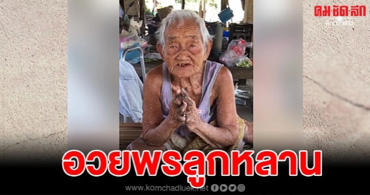 ทวดวัย 95 ปี อวยพรปีใหม่ลูกหลาน ดูแล้วน้ำตาซึม ทวดวัย 95 ปี อวยพรปีใหม่ลูกหลาน ดูแล้วน้ำตาซึม
