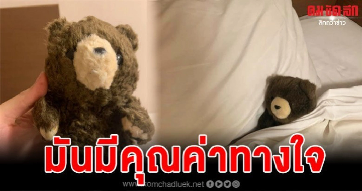 สาวไทยลืมตุ๊กตาหมีไว้ที่โรงแรมญี่ปุ่น โดนซักจนพัง สาวไทยลืมตุ๊กตาหมีไว้ที่โรงแรมญี่ปุ่น โดนซักจนพัง