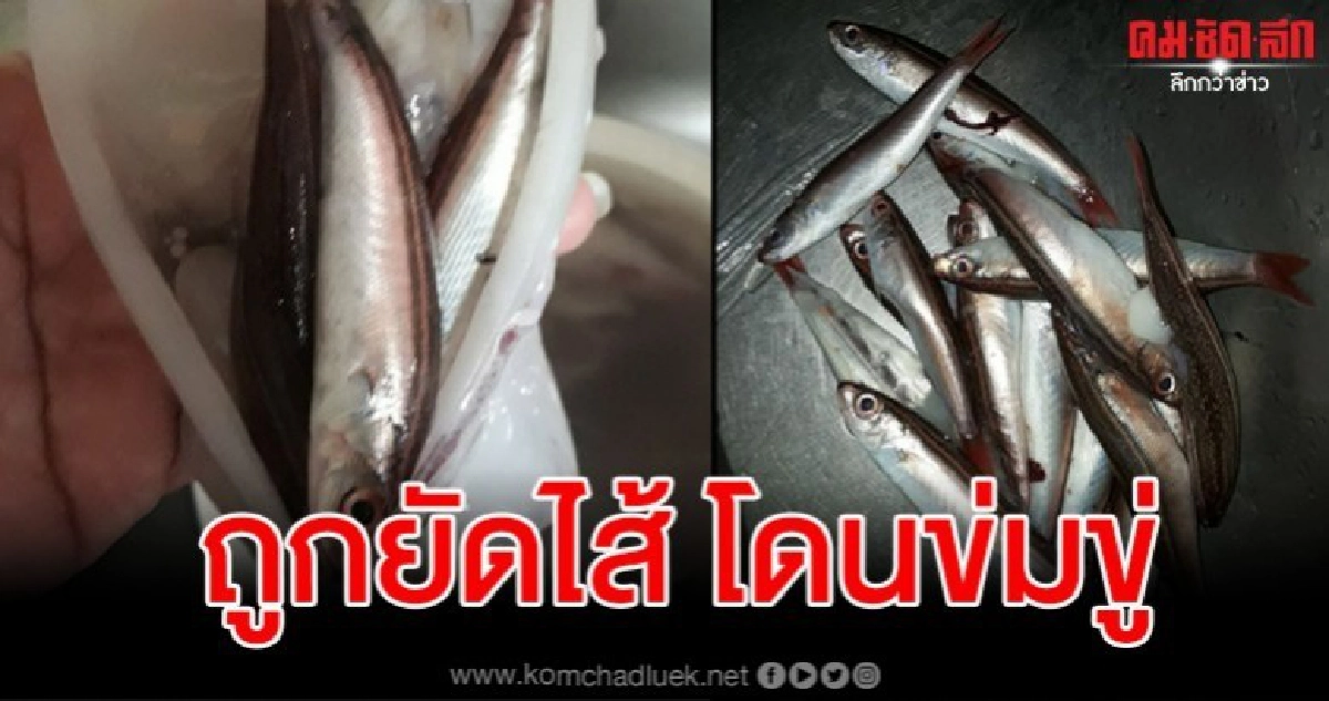 สาวโวยซื้อปลาหมึกถูกยัดไส้อื้อ โพสต์เตือนภัยแต่โดนโทรข่มขู่