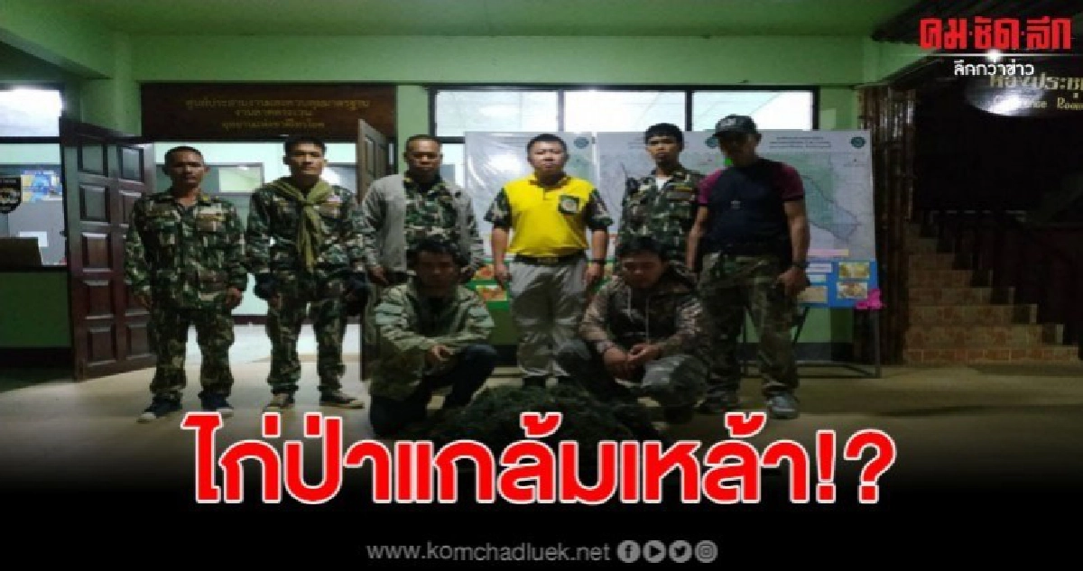 อุทยานฯไทรโยค รวบ2 หนุ่ม ลอบยิงไก่ป่า อ้างไปแกล้มเหล้าฉลองปีใหม่ อุทยานฯไทรโยค รวบ2 หนุ่ม ลอบยิงไก่ป่า อ้างไปแกล้มเหล้าฉลองปีใหม่