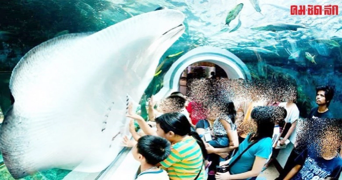 ห้ามพลาด ยังมีเวลา กรมประมงเปิดอควาเรี่ยมเข้าชมฟรี
