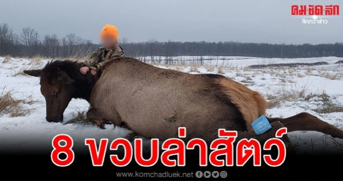 พ่อปลื้มน้ำตาไหลลูกสาว 8 ขวบทำสถิติส่องล้มกวางเอลก์ พ่อปลื้มน้ำตาไหลลูกสาว 8 ขวบทำสถิติส่องล้มกวางเอลก์