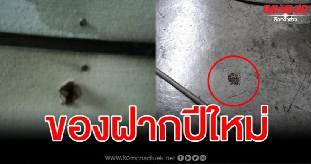 เกือบไปแล้ว หนุ่มเคาท์ดาวน์อยู่บ้าน จู่ๆได้ของขวัญจากฟ้า เกือบไปแล้ว หนุ่มเคาท์ดาวน์อยู่บ้าน จู่ๆได้ของขวัญจากฟ้า