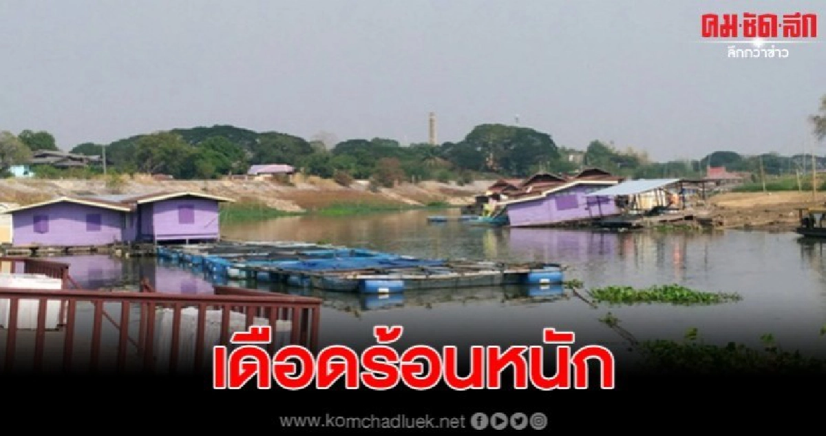 ชาวแพที่เดือดร้อนเพราะแล้ง ผลกระทบผู้เลี้ยงปลากระชังจำนวนมาก ชาวแพที่เดือดร้อนเพราะแล้ง ผลกระทบผู้เลี้ยงปลากระชังจำนวนมาก