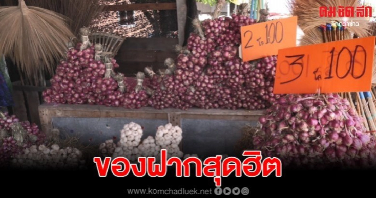 หอมแดง - กระเทียมดี ของฝากสุดฮอต หอมแดง - กระเทียมดี ของฝากสุดฮอต
