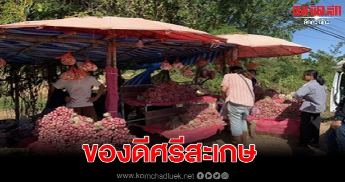 นทท.แห่ซื้อหอมกระเทียมเป็นของฝากญาติช่วงปีใหม่ 63 นทท.แห่ซื้อหอมกระเทียมเป็นของฝากญาติช่วงปีใหม่ 63