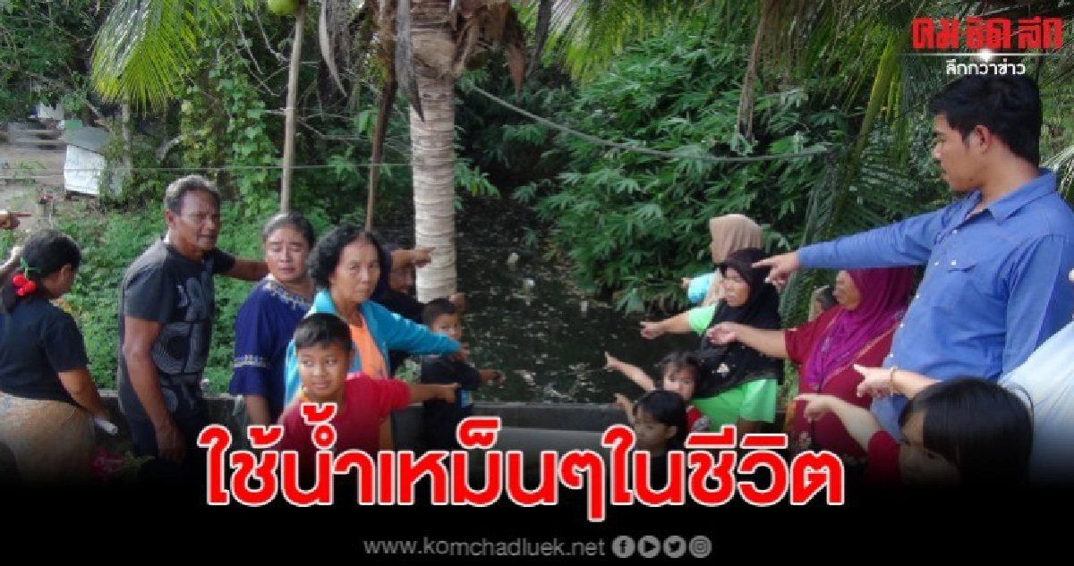 ชาวบ้านสตูล ขุดสระน้ำใช้ในชีวิตประจำวัน แถมน้ำเน่าเหม็น ชาวบ้านสตูล ขุดสระน้ำใช้ในชีวิตประจำวัน แถมน้ำเน่าเหม็น