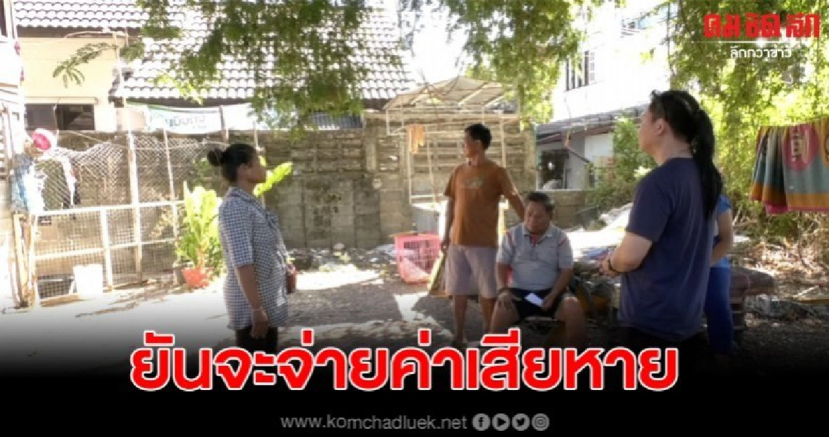 คืบหน้ายายถูกหมาขย้ำเจ็บสาหัส เจ้าของยันจะชดใช้ค่าเสียหาย คืบหน้ายายถูกหมาขย้ำเจ็บสาหัส เจ้าของยันจะชดใช้ค่าเสียหาย