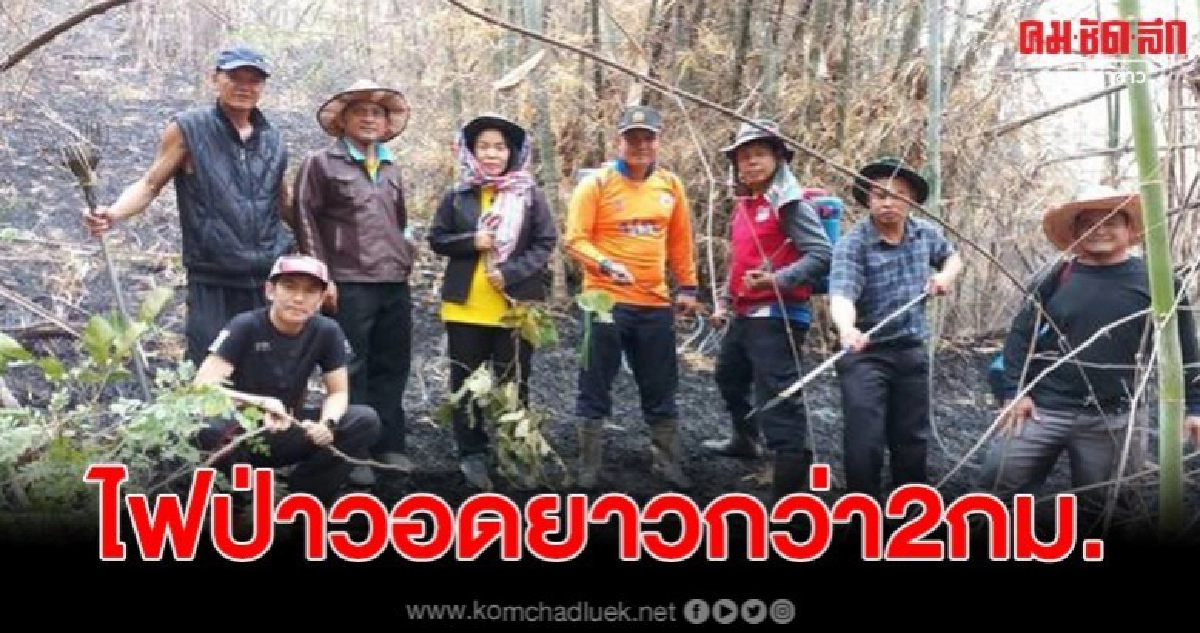 ไฟป่าเผาภูสะนาววอดแล้วยาว 2 กม.กินเนื้อที่กกว่า 10 ตร.กม. ไฟป่าเผาภูสะนาววอดแล้วยาว 2 กม.กินเนื้อที่กกว่า 10 ตร.กม.