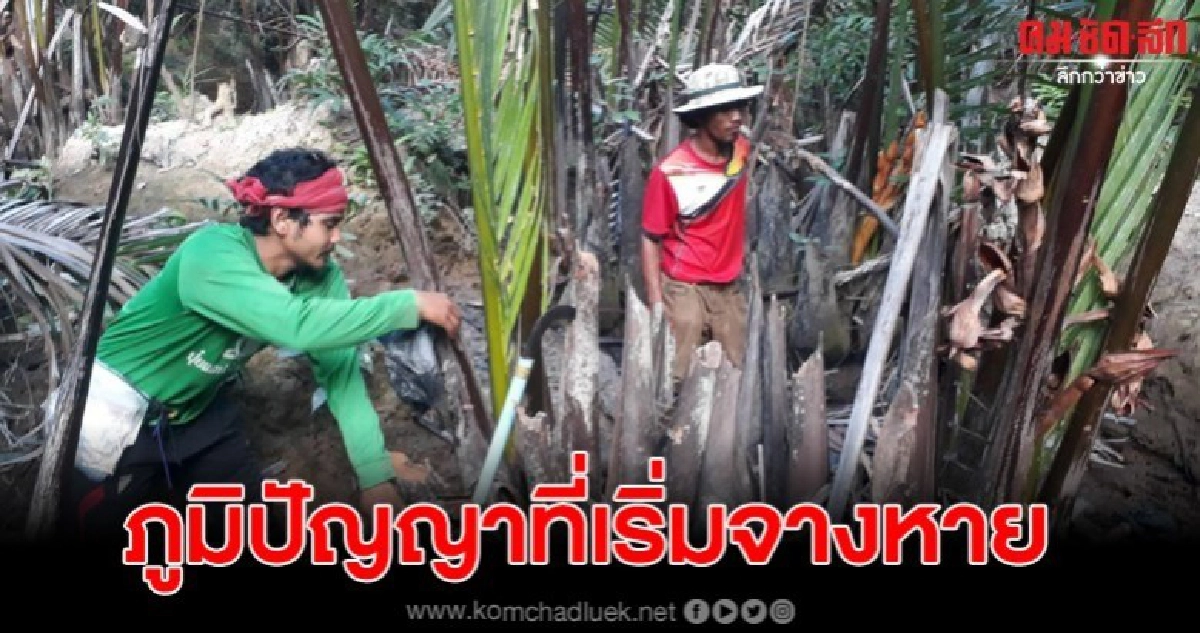 น้ำตาลจากสดภูมิปัญญาท้องถิ่นที่เริ่มสูญหายสู่การสร้างอาชีพ