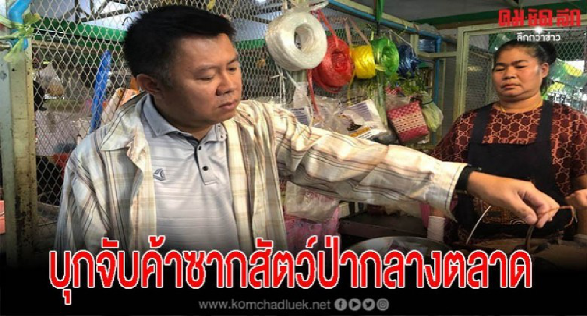พญาเสือ บุกตลาดสดเมืองกาญจน์ พบเนื้อตะกวด กระรอกป่า