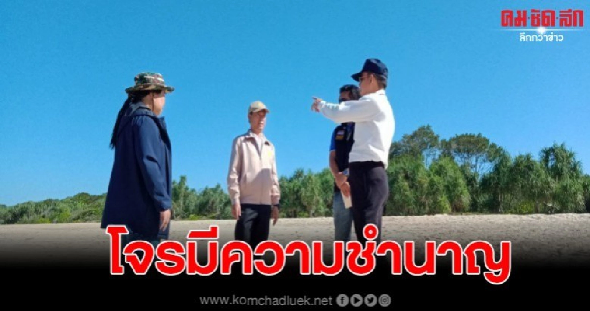 คาดโจรขโมยไข่เต่ามะเฟือง มีความชำนาญสูง