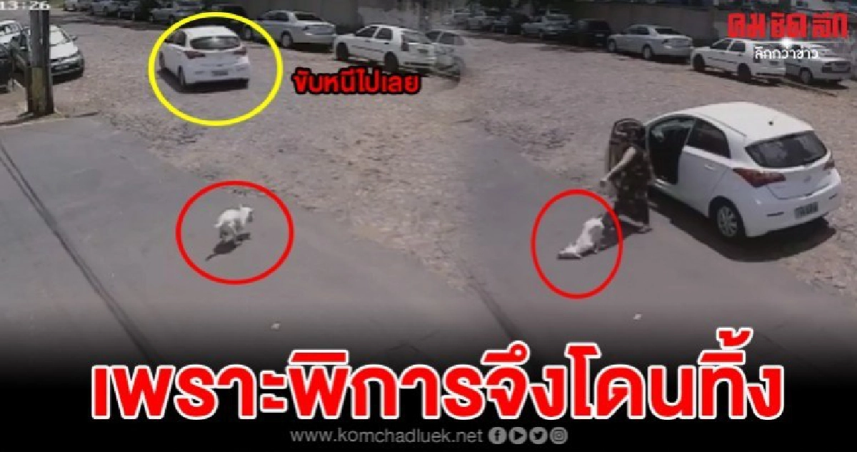 เกิดมาพิการชีวิตก็เจ็บปวดมากแล้วยังโดนเจ้าของใจร้ายปล่อยทิ้ง เกิดมาพิการชีวิตก็เจ็บปวดมากแล้วยังโดนเจ้าของใจร้ายปล่อยทิ้ง