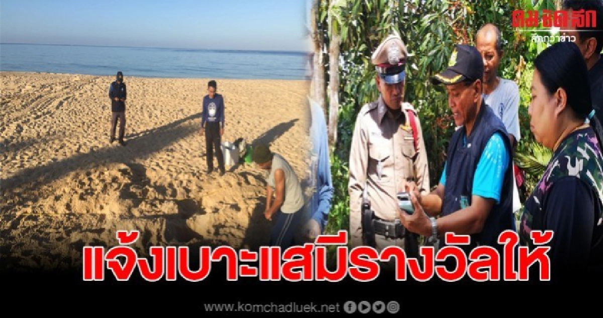จนท.ทุ่มเงินให้กับผู้แจ้งเบาะแสโจรขโมยไข่เต่า จนท.ทุ่มเงินให้กับผู้แจ้งเบาะแสโจรขโมยไข่เต่า