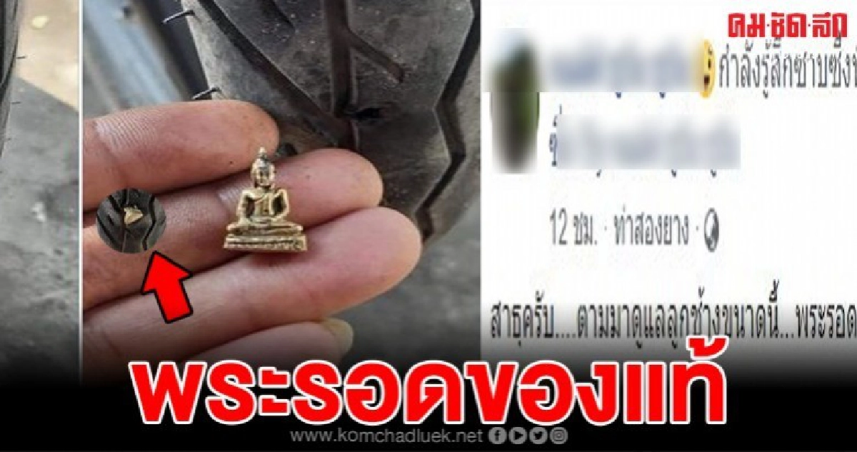ชาวโซเชียลแห่แชร์ภาพพระรอดของแท้ ชาวโซเชียลแห่แชร์ภาพพระรอดของแท้