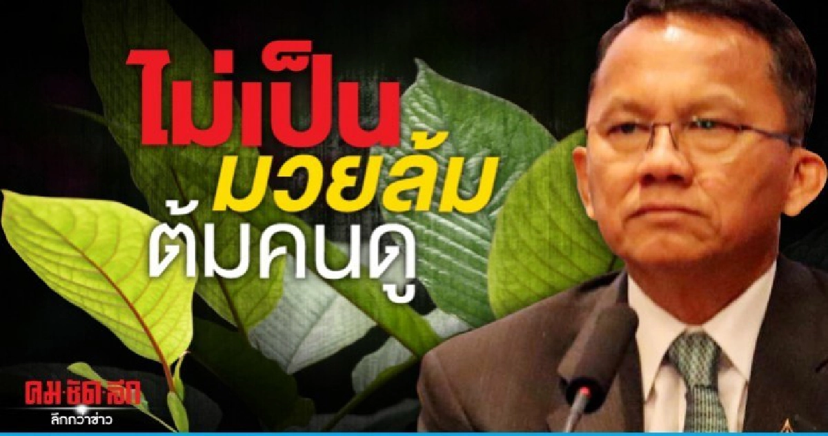 กลางปี 63 ปลดกระท่อมพ้นยาเสพติด ไม่เป็นมวยล้มต้มคนดู