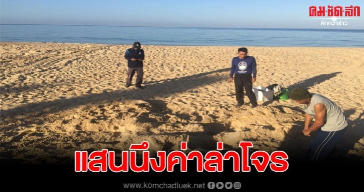 พ่อเมืองพังงาสมทบ 50,000 ล่าหัวโจรขโมยไข่เต่ามะเฟือง