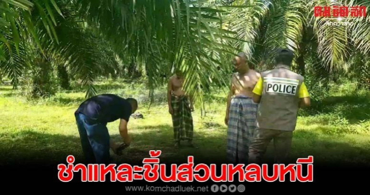 เร่งล่า โจรใจบาป จูงวัวครูสอนศาสนา เชือดคอชำแหละหนี