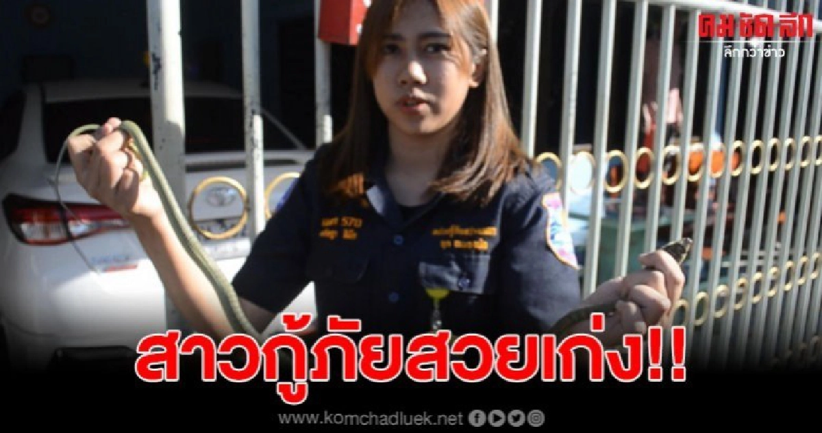 เปิดคลิปสาวกู้ภัยสวยเก่ง จับงู ขณะเจ้าของบ้านเชื่อ มาให้โชค เปิดคลิปสาวกู้ภัยสวยเก่ง จับงู ขณะเจ้าของบ้านเชื่อ มาให้โชค