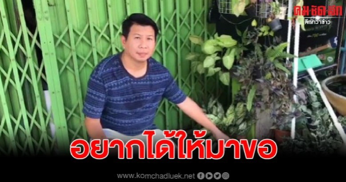 เจ้าของร้านสุดเซ็ง ถูกมือดีลักไม้มงคล 3 ครั้งแล้ว เจ้าของร้านสุดเซ็ง ถูกมือดีลักไม้มงคล 3 ครั้งแล้ว