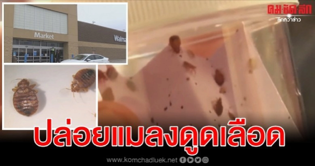 ตร.ล่ามือแอบปล่อยตัวเรือดในห้องลองเสื้อผ้าห้างวอลมาร์ต ตร.ล่ามือแอบปล่อยตัวเรือดในห้องลองเสื้อผ้าห้างวอลมาร์ต