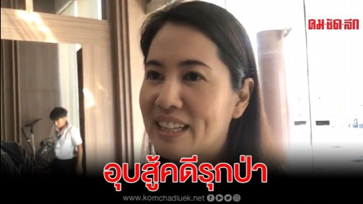 เอ๋ อุบแนวทางสู้คดีรุกป่า เอ๋ อุบแนวทางสู้คดีรุกป่า