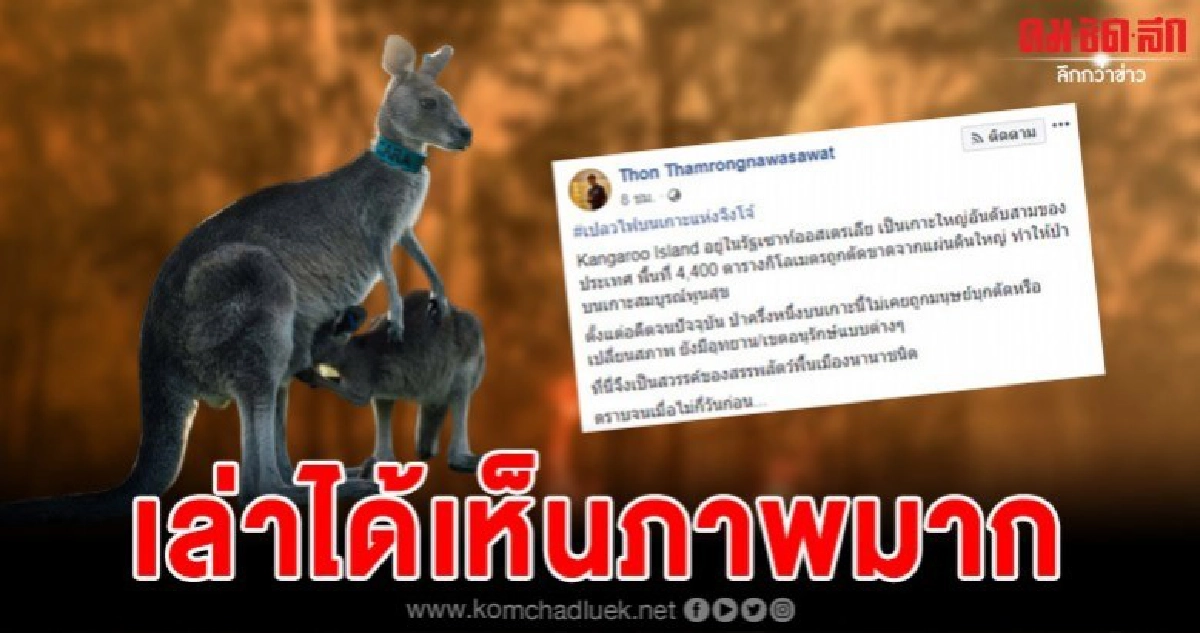 ดร.ธรณ์เล่าเรื่องสุดสะเทือนใจ แม่จิงโจ้กับลูกน้อยในกระเป๋า 