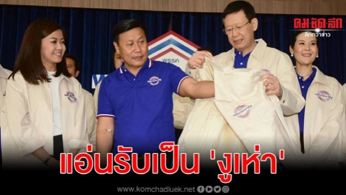 แอ่นอกรับเป็น งูเห่า ฐนภัทร ซบ พปชร.เต็มตัว