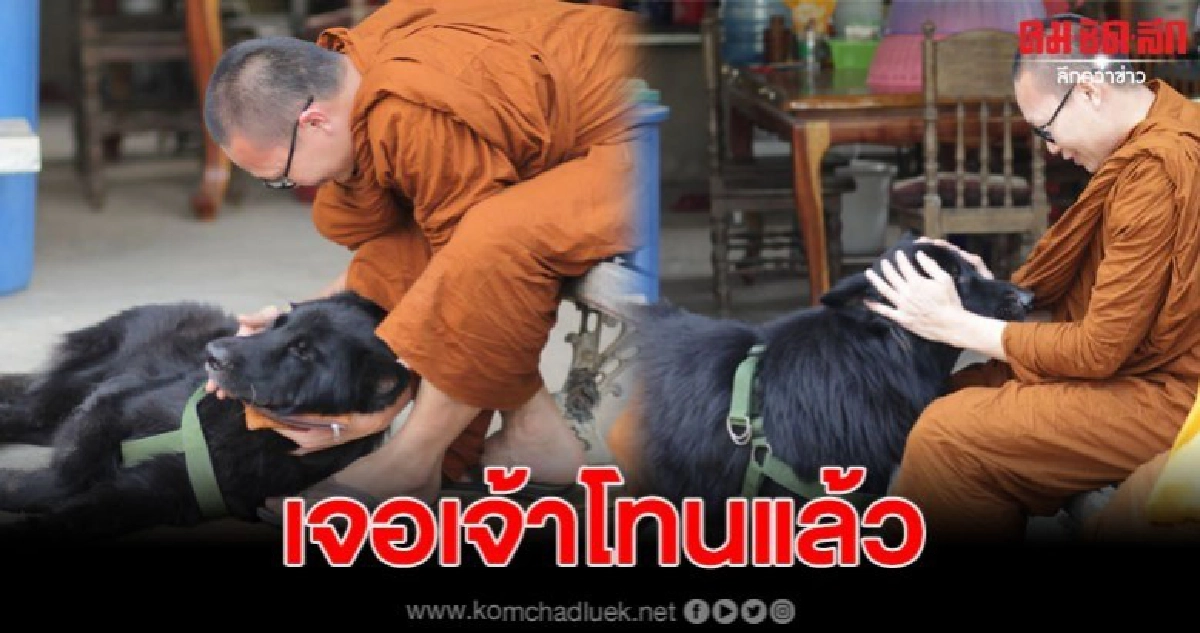 'เจ้าโทน' สุนัขที่หายตัวไป ได้กลับสู่อ้อมกอดของหลวงพ่อแล้ว 'เจ้าโทน' สุนัขที่หายตัวไป ได้กลับสู่อ้อมกอดของหลวงพ่อแล้ว