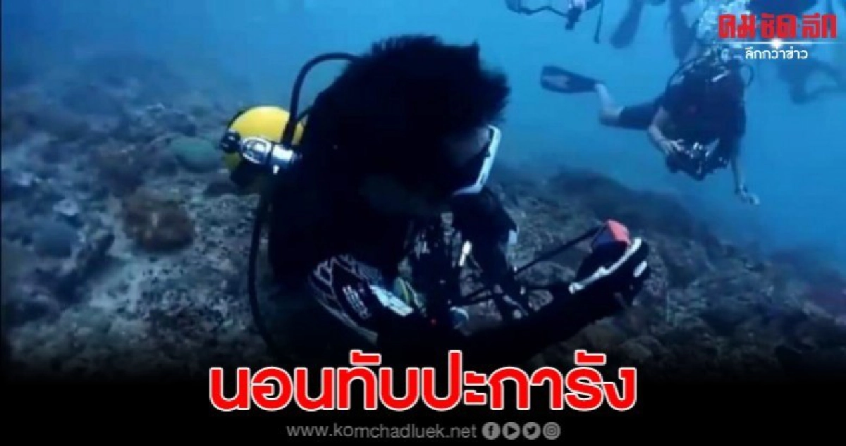 ไกด์นำเที่ยว นอนทับปะการังถ่ายรูปเต่าใต้ทะเลที่เกาะพีพี ไกด์นำเที่ยว นอนทับปะการังถ่ายรูปเต่าใต้ทะเลที่เกาะพีพี