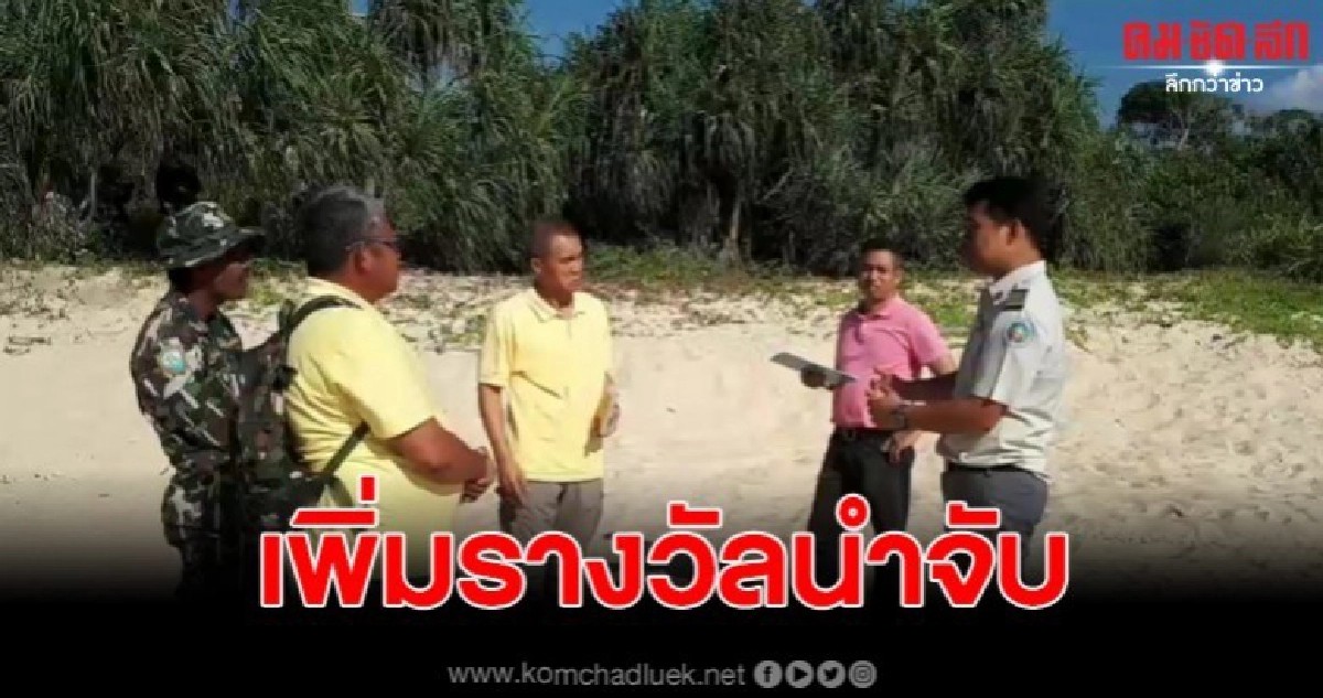 เพิ่มรางวัลนำจับ  พร้อมพบเบาะแสเพิ่ม โจรขโมยเต่า