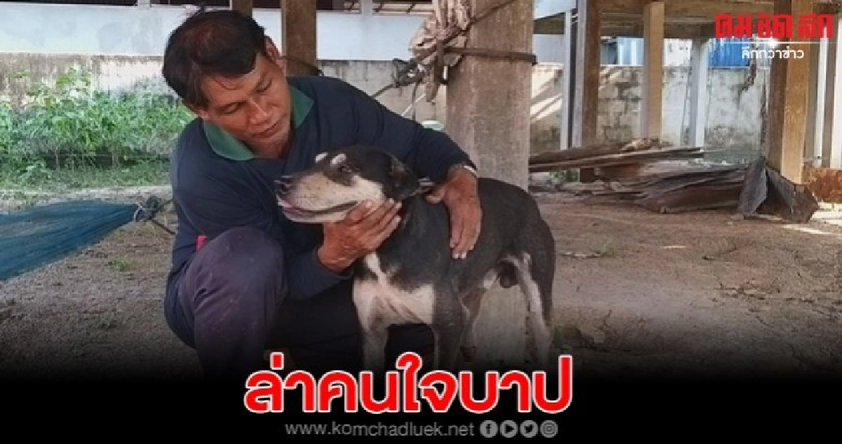ตร.เร่งตามจับคนใจบาป ทารุณกรรมสุนัข ตร.เร่งตามจับคนใจบาป ทารุณกรรมสุนัข