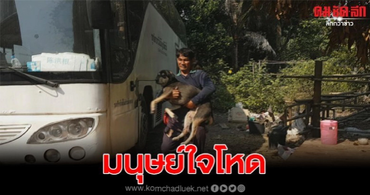 มนุษย์โหด ฟันขาสุนัขแผลฉกรรจ์ ติดเชื้อสาหัส มนุษย์โหด ฟันขาสุนัขแผลฉกรรจ์ ติดเชื้อสาหัส