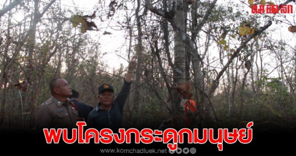 แม่เฒ่าเจอโครงกระดูกในป่า คาดเป็นลูกชายที่หายไปนาน แม่เฒ่าเจอโครงกระดูกในป่า คาดเป็นลูกชายที่หายไปนาน