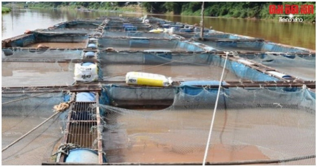 หวั่นแล้งรุนแรงยาวนาน...ประมงเตรียมแผนรับมือ หวั่นแล้งรุนแรงยาวนาน...ประมงเตรียมแผนรับมือ