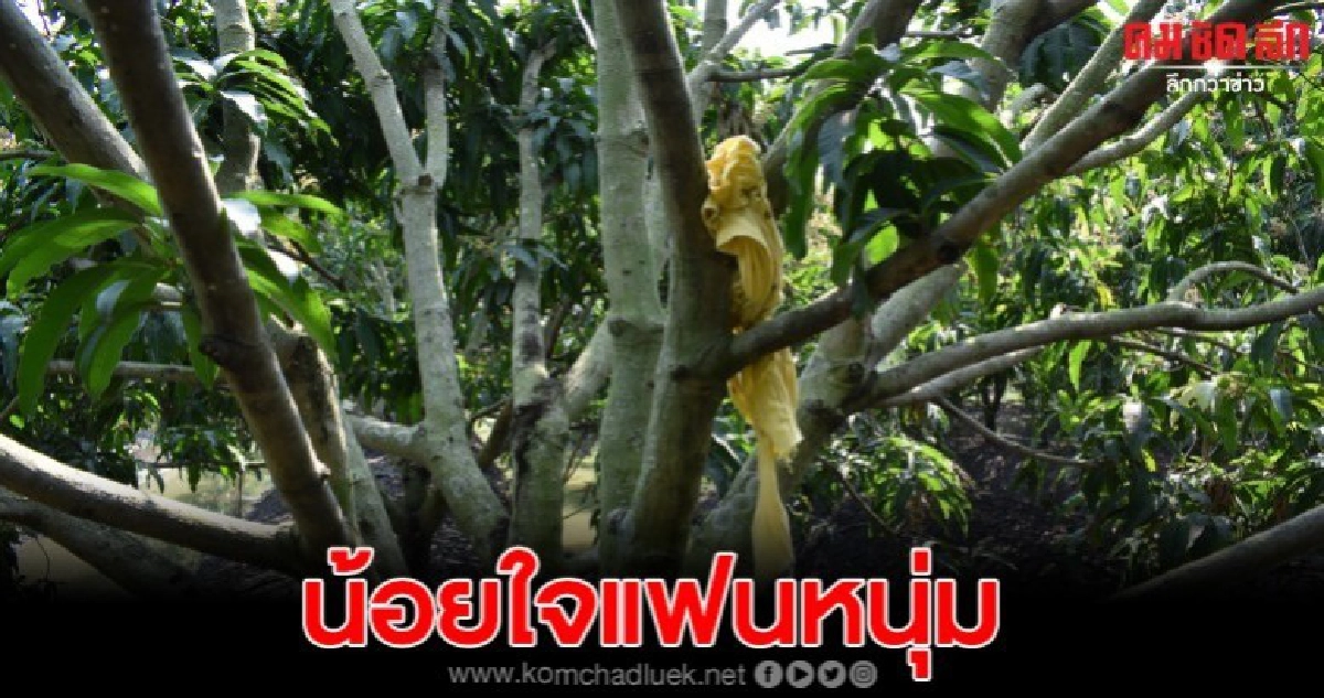 สาวชาวมอญน้อยใจแฟนผูกคอดับคาสวนมะม่วง สาวชาวมอญน้อยใจแฟนผูกคอดับคาสวนมะม่วง