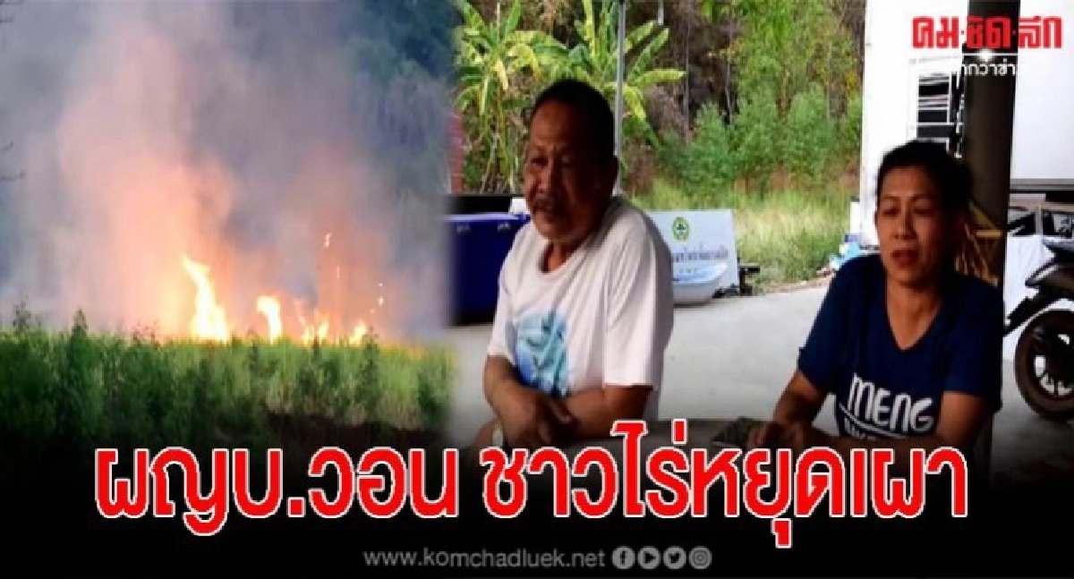 หิมะดำปลิวเกลื่อน ชาวบ้านเดือดร้อนหนัก วอนชาวไร่อ้อยหยุดเผา หิมะดำปลิวเกลื่อน ชาวบ้านเดือดร้อนหนัก วอนชาวไร่อ้อยหยุดเผา