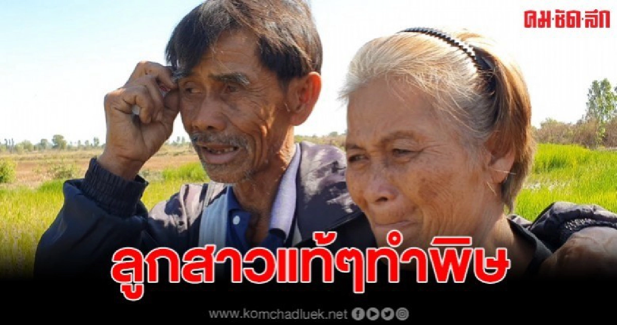 พ่อแม่สุดช้ำใจ ถูกลูกสาวในไส้หลอก ขายที่ให้นายทุน พ่อแม่สุดช้ำใจ ถูกลูกสาวในไส้หลอก ขายที่ให้นายทุน