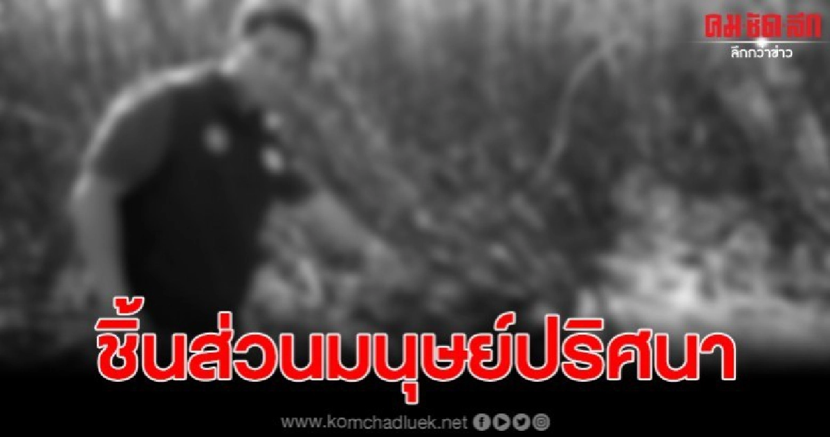 พบชิ้นส่วนมนุษย์ ถูกไฟคลอกกลางป่าอ้อย 