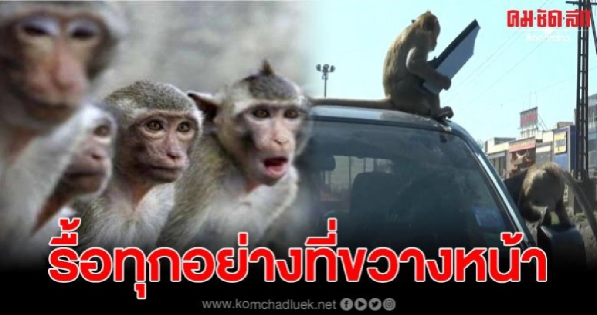 คลิปเจ้าจ๋อแสนซน รับบริการรื้อรถให้ฟรีครับ (คลิป) คลิปเจ้าจ๋อแสนซน รับบริการรื้อรถให้ฟรีครับ (คลิป)
