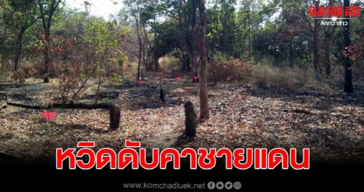 ทหารพลาดเหยียบกับระเบิด หวิดชะตาขาด 3 ราย ทหารพลาดเหยียบกับระเบิด หวิดชะตาขาด 3 ราย