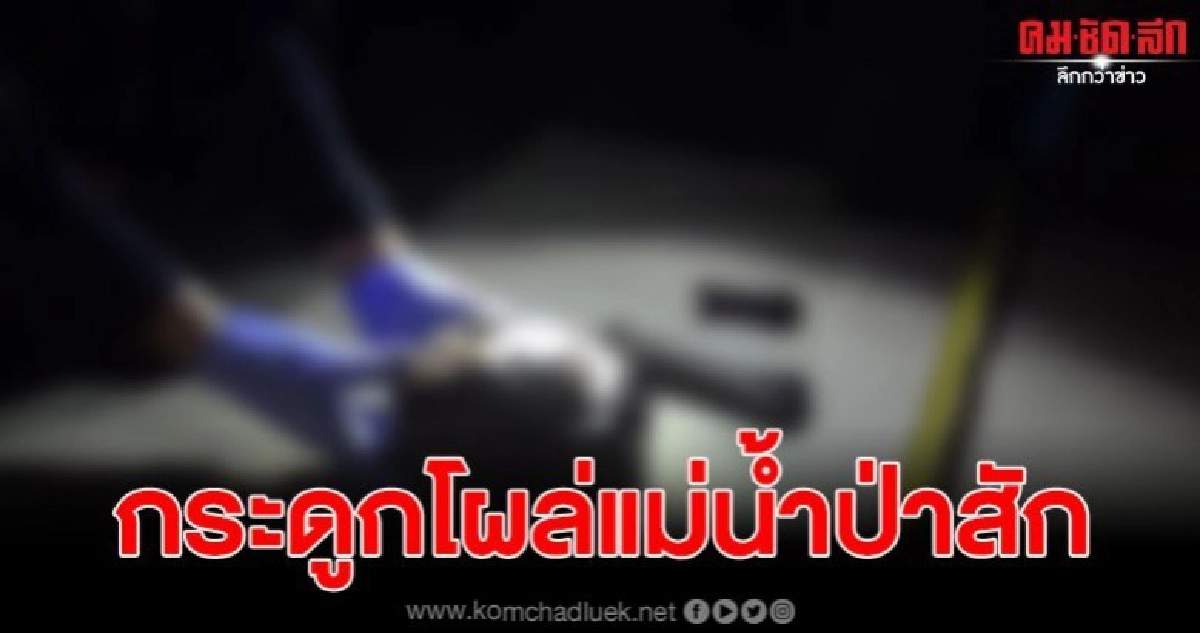 หนุ่มวัย 35 ปี ผงะ เจอหัวกะโหลกคน หนุ่มวัย 35 ปี ผงะ เจอหัวกะโหลกคน