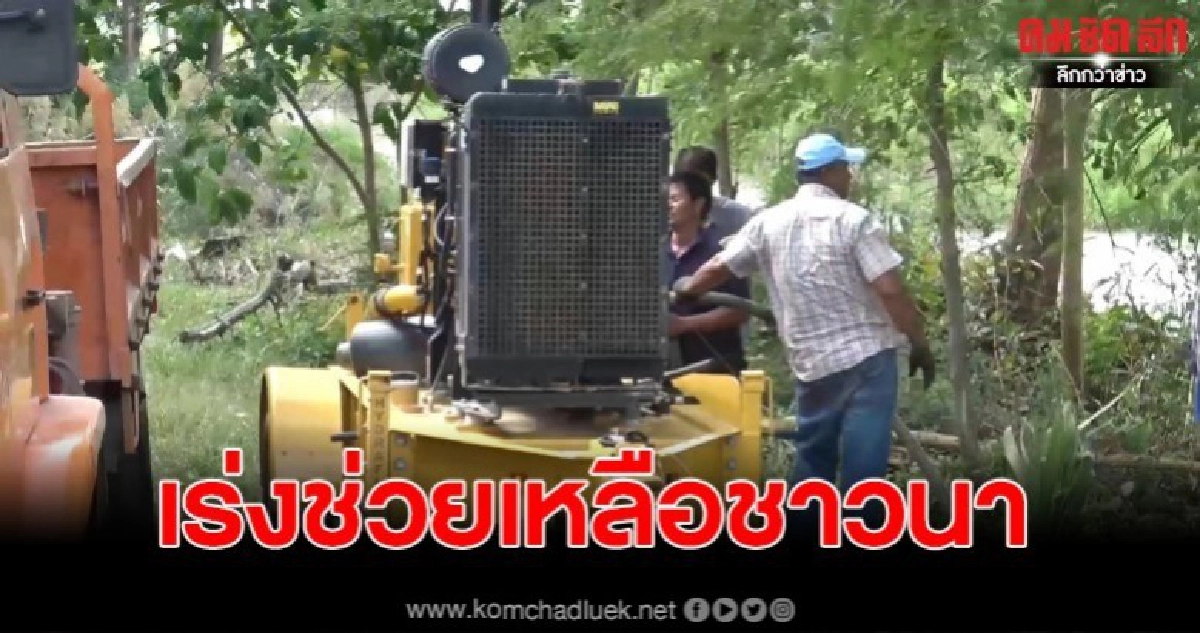 เร่งสูบน้ำจากป่าพรุช่วยเหลือชาวนาจากภัยแล้งแทนน้ำทะเลสาบ เร่งสูบน้ำจากป่าพรุช่วยเหลือชาวนาจากภัยแล้งแทนน้ำทะเลสาบ