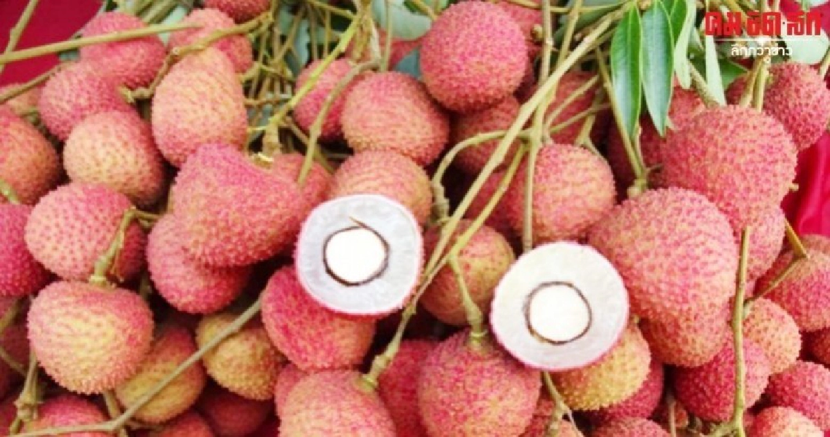 สุดเข้มข้น 4 ยุทธศาสตร์พัฒนาผลไม้เทรนอนุรักษ์มาเต็ม  