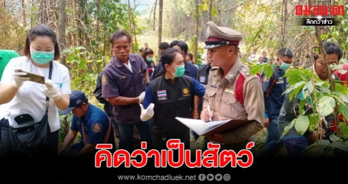 พี่ชายผญบ.ถูกยิงหลัง หลังพรานเข้าใจคิดว่าเป็นสัตว์ พี่ชายผญบ.ถูกยิงหลัง หลังพรานเข้าใจคิดว่าเป็นสัตว์