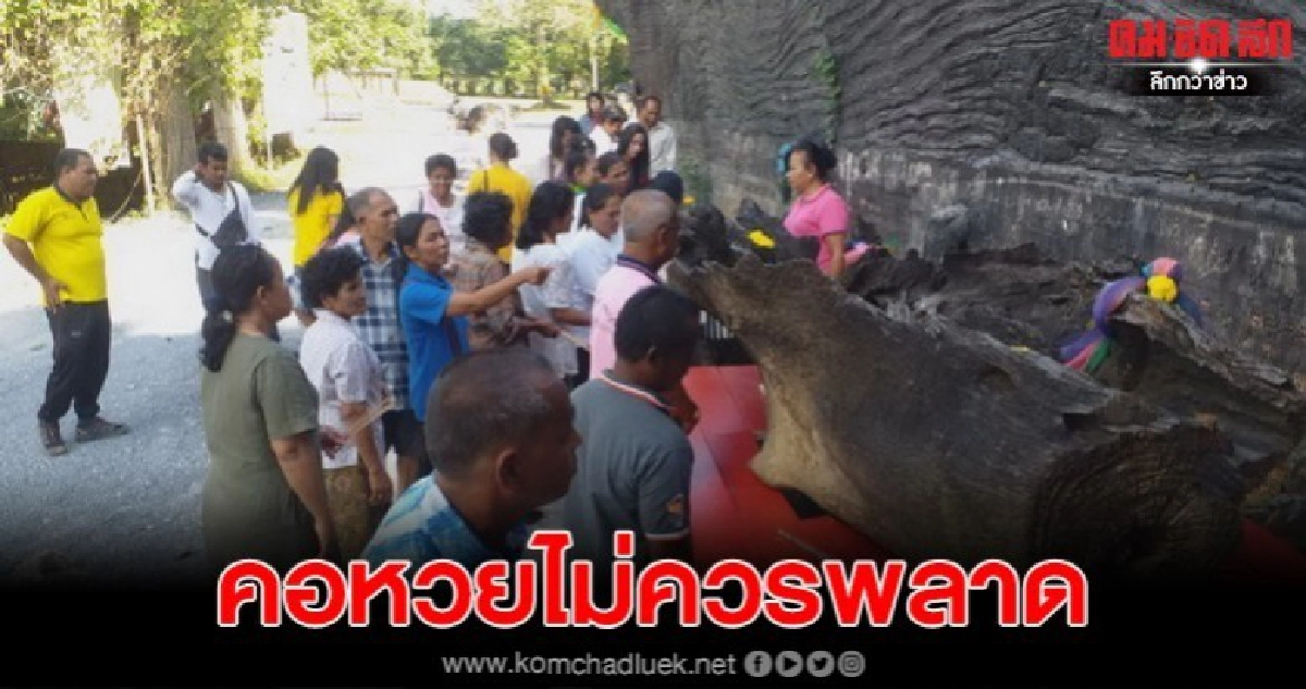  แม่ตะเคียนทองโบราณเข้าฝันอยากอยู่วัด คอหวยไม่พลาดส่องเลข