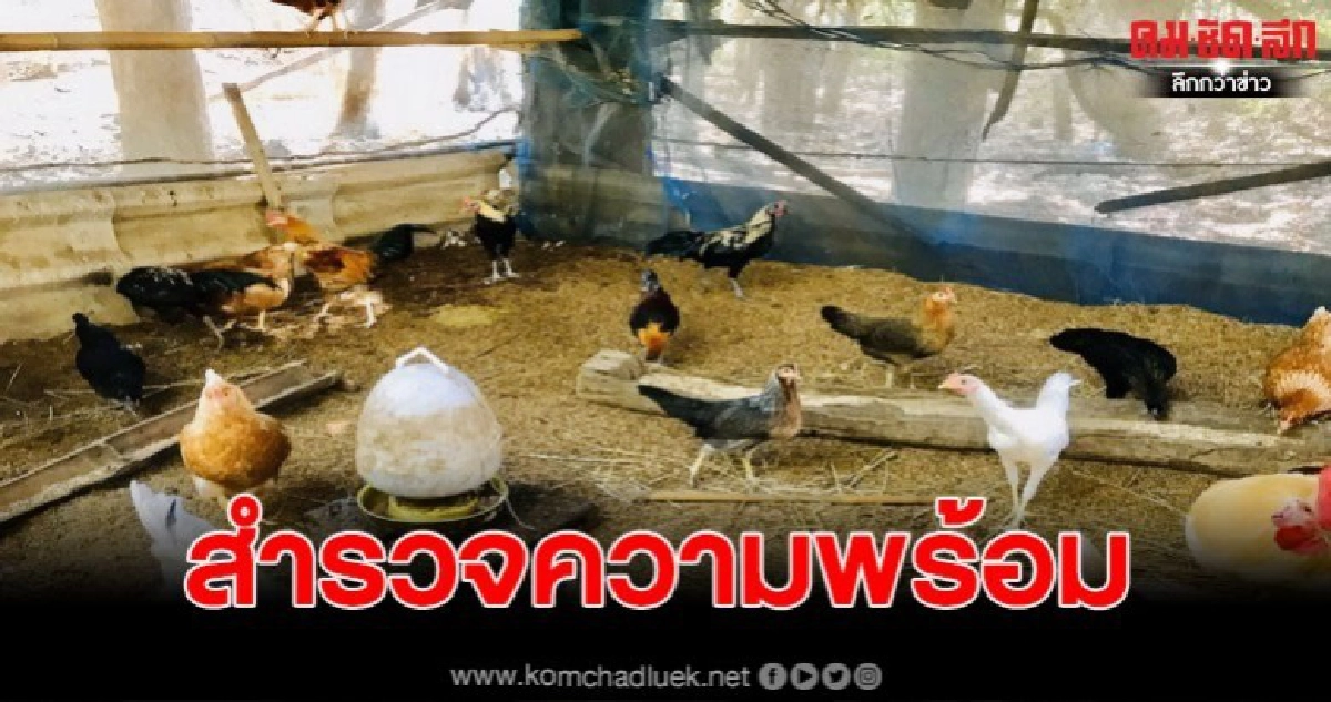 ปศุสัตว์แม่ฮ่องสอน บูรณาการหน่วยงานในสังกัดกระทรวงเกษตรฯ ลงพื้นที่สำรวจความพร้อมชุมชนเกษตรอินทรีย์ ปศุสัตว์แม่ฮ่องสอน บูรณาการหน่วยงานในสังกัดกระทรวงเกษตรฯ ลงพื้นที่สำรวจความพร้อมชุมชนเกษตรอินทรีย์